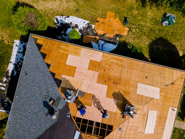 Best Roof Waterproofing Services  in Amory, MS
