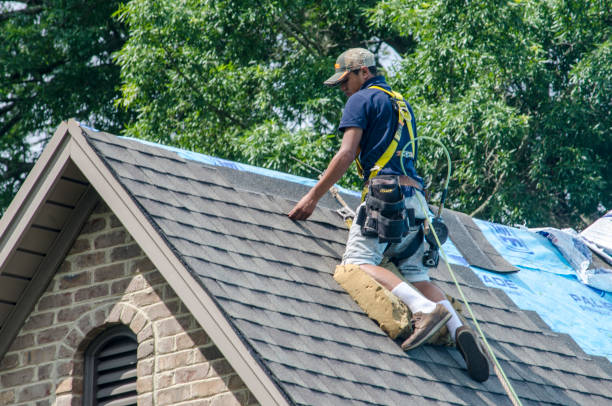 Best New Roof Installation  in Amory, MS